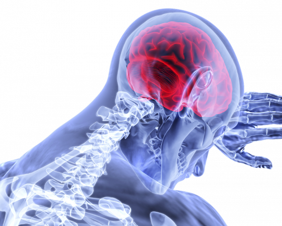 Get Off My Nerves: The Neuroscience of Pain