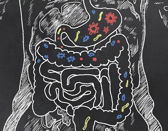 IMPACT OF GUT HEALTH ON INFLAMMATION