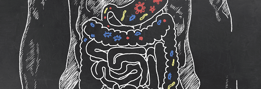 IMPACT OF GUT HEALTH ON INFLAMMATION