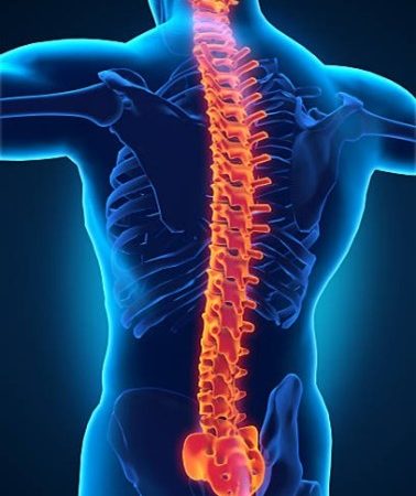 Why Does My Back Hurt?